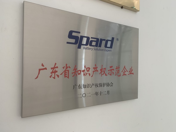 百瑞彩票5988荣获2021年度广东省知识产权示范企业