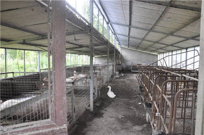 龙阳镇迅速推进畜禽养殖污染专项整治工作